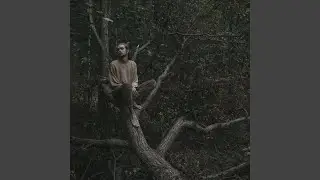 немерено