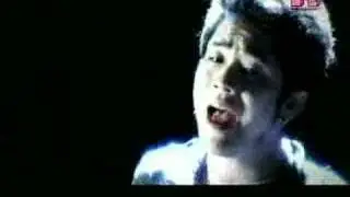 เจ็บทุกทาง - Basher