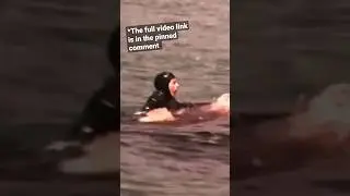 The Most HORRIFYING Shark Encounters of ALL-TIME