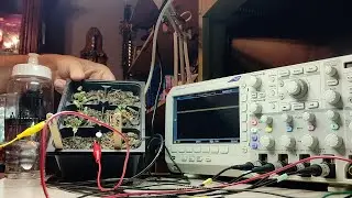 DIY soil moisture sensor build and test