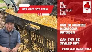 HOW IM GROWING MUSHROOM OUTSIDE - Cafe site is open!