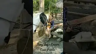 Suzy Joy - Trecho da música Encare Essa Paixão