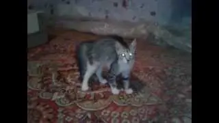 Малышка Vayne или 2 фонаря в темноте XD.mp4