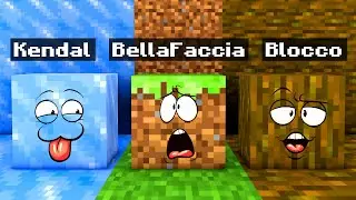 GIOCHIAMO A NASCONDINO DA BLOCCHI DI MINECRAFT
