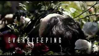 「Fassavoy/cherik/AU」Eversleeping - Single Version