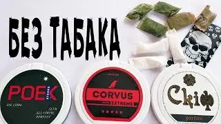 БЕСТАБАЧНЫЙ СНЮС. ЧТО ЭТО ТАКОЕ?