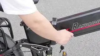 DAYLYRIDE Lion pro