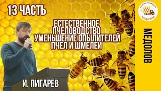 Natural Beekeeping. Pollinator Depletion: Bees and Bumblebees. Pigarev I. Part 13
