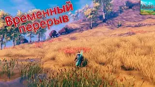 Временный перерыв - Valheim #25