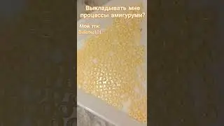 Начинаю новую амигуруми))
