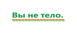 Вы - не тело. Видео 517.