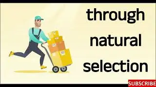 Evolution: One Word Definition: What is Evolution?