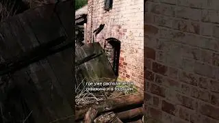 Откапываем старинный дом прадеда. Делаем нижний этаж 