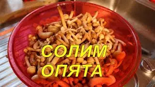 Солим опята.Грибы Новинка 2017