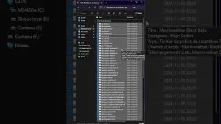 Quick Guide 💻 Installing Multiple Fonts in One Go 🧙‍♂️🔥
