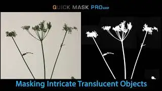 Quick Mask Pro 2022 UXP  | Comprehensive series 1 | Masking Intricate and Translucent objects
