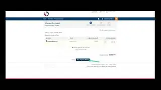 Making a Credit Card Payment with Nelnet