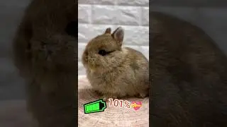 Заряжаем милотой ❤️