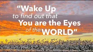 Grateful Dead ☮ Eyes of the World, 9/18/74 - HD/HQ