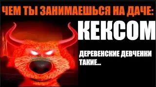 Чем ты занимаешься на даче: