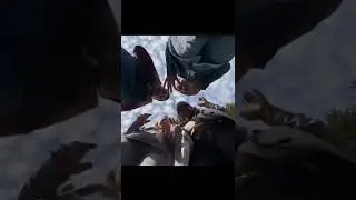 Пэдро Пэдро Пэдро