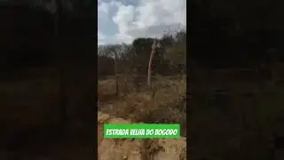 estrada  velha mal assombrada bogodo