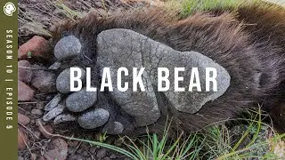 The bear tried to eat my dog #themountainproject #bearhunt
