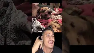 Fotos Que Tienes Que Ver Dos Veces 🤯 Parte 10 