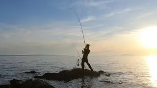Orade, paukovi i jedna vrsta koju nikad nisam uhvatio