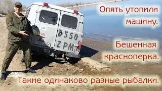 Утопили машину. Бешенная красноперка. Такие одинаково разные рыбалки.