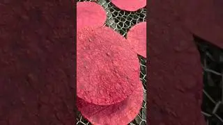 Red Corn Tortillas are born! 