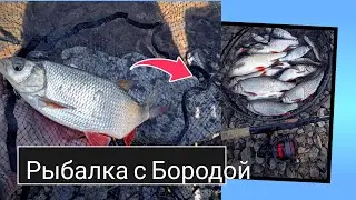 Рыбалка с Бородой. Бешенный клёв плотвы. Бигфиш язь.