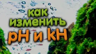 Aquarium water pH and kH. How to reduce carbonate hardness and pH.