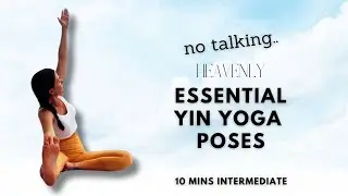 FULL BODY essential yin yoga