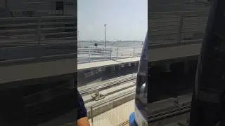 Habibi Come to Dubai #habibi #airport #shotsfeed #shorts #amazingfacts