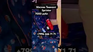 Moskva Tashkent taxi sprinter#ташкент #автобус #дальнобой #avtobus #тикток #топ #rek
