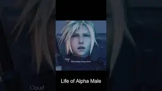 Life of Alpha Male #shorts