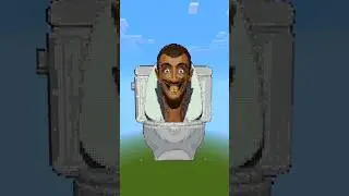 skidibi toilet character on my Minecraft map 🚽 