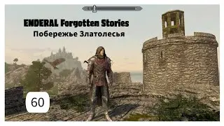 ENDERAL. Побережье Златолесья. Прохождение за мага. Часть 60.