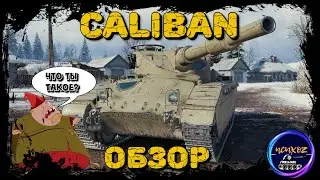 CALIBAN - ЛУЧШИЙ ТАНК ИЗ КОРОБОК ИЛИ ПОЛНЫЙ ПРОВАЛ? ОБЗОР И ПОЛЕВАЯ МОДЕРНИЗАЦИЯ. Wot обзор