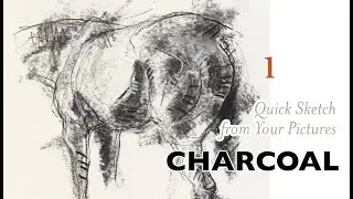Quick Sketch from Your Picture 1 - Horse Drawing Demo with charcoal