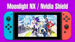Genshin Impact on Nintendo Switch