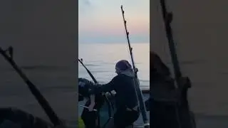 22 Kasım 2021
