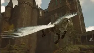 highwing - meeting first time Hogwarts legacy