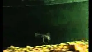 Видео каталог воблеров Smith. Часть 3