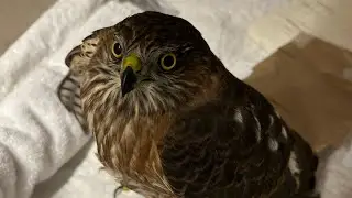 Patient Update 9-27-24