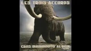 LES TROIS ACCORDS - Gros Mammouth Chanson