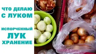 27. Лук. Что делаю с подгнившим луком. Хранение овощей в деревне. РЕЦЕПТЫ ГЕРМАНИЯ