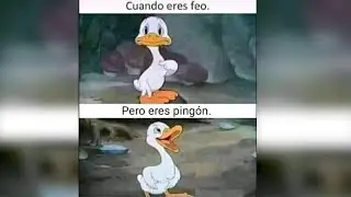 MEMES AND TIKTOKS RANDOMS #1