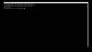 Setup / install Dart sdk on a Raspberry Pi (quick guide)